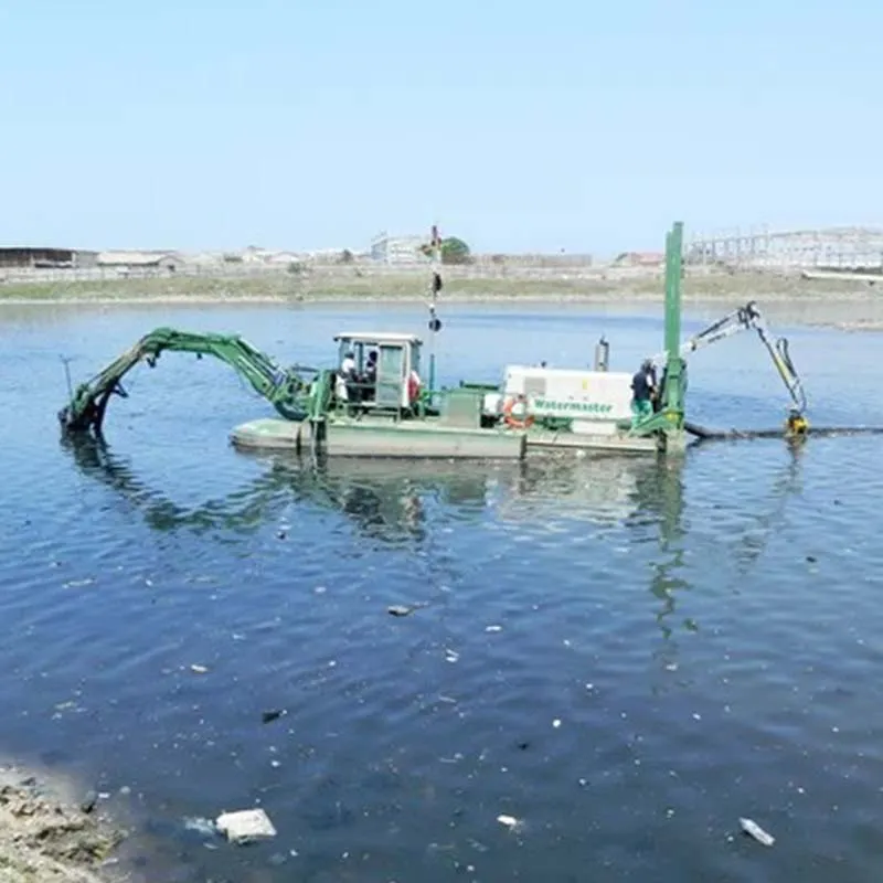 تنظيف البحيرات